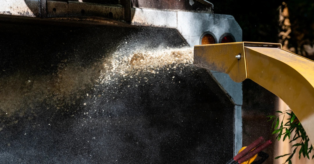 What we can do with wood chips?